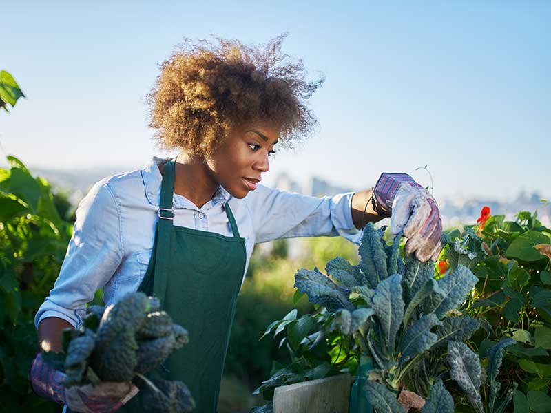 Woman in her garden growing food